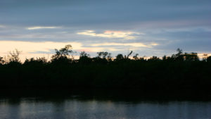 Sunset on Ding Darling Wildlife Refuge Florida