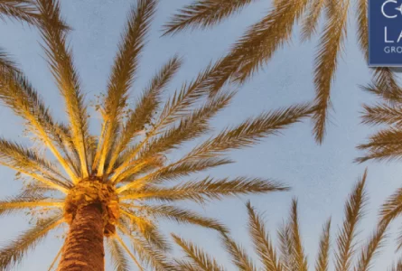 Summer Living and Care Planning Tips for California Snowbirds