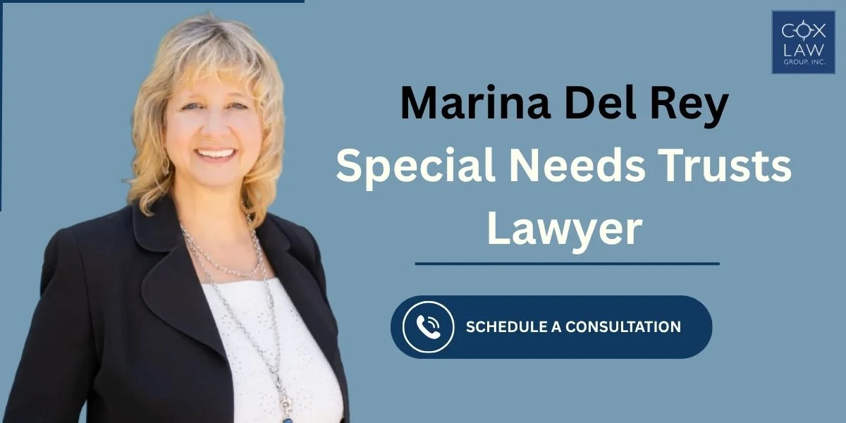 best marina del rey special needs trusts lawyer